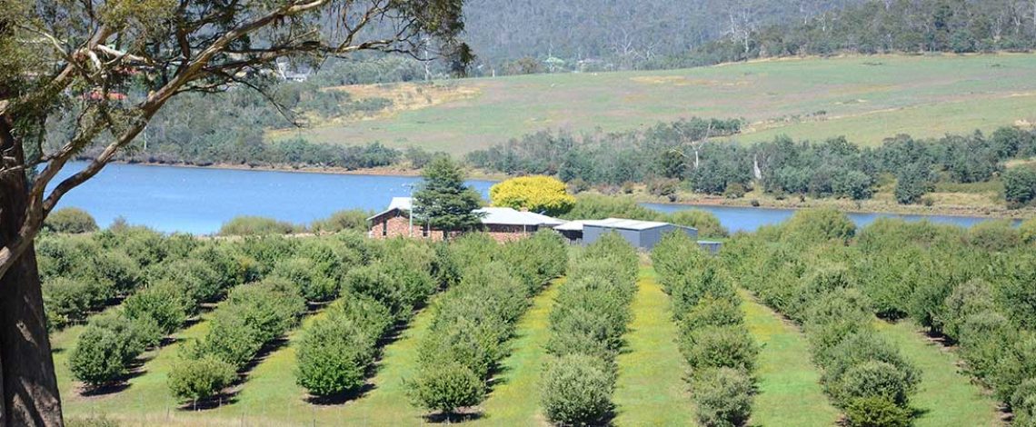 View of Tamar Valley Truffles Farm